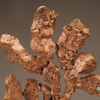 Native Copper Crystals - Itauz Mine,  Karagandy Province - Kazakhstan