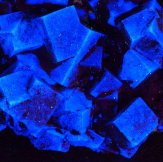 Flurescent Rogerley Fluorite - As Good As Sw Fluorite Fluorescence Can Be