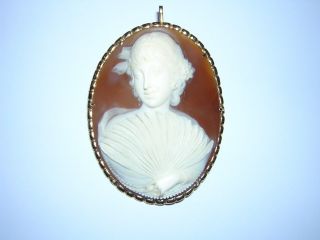 Cameo " G.  Noto " Signed Rare Vintage Hand Carved Shell Pin/pendant Yellow Gold