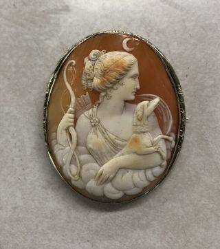 Gorgeous 19thc Shell Cameo Of Diana The Huntress W Dog Bow Quiver Arrows C1880