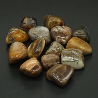 Natural Polished Gemstone Tumbled Wood Stone For Wicca Reiki Crystal Healing