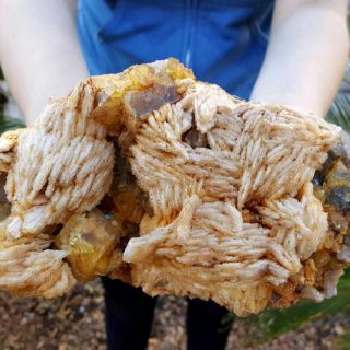 Very Fine 7 3/4 Inch Golden Fluorite Crystals With Barite