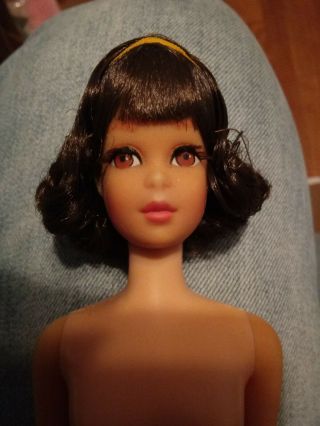 Barbie Vintage 1969 - 1970 Francie Brunette Short Hair Flip 1170 Stunning