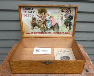 1900s D.  M.  Ferry Vintage Antique Oak Flower Seed Box Ulm Mn Exc,
