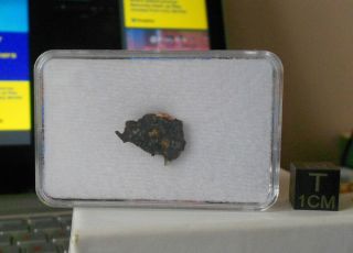 Meteorite Nwa 11273 (lunar) - 0.  8 G