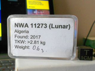 Meteorite NWA 11273 (Lunar) - 0.  6 g 2