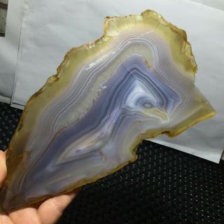 357g Brazilian Agate Geode Slab/slice - Large Natural Druzy Quartz Crystals
