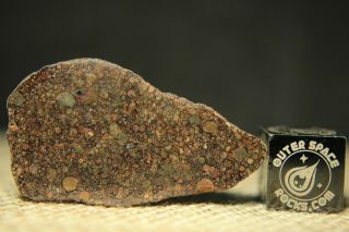 Nwa 10499 Ll3 Primitive (billions Of Years) Chondrite Meteorite 5.  3 Grams