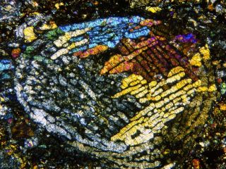 Meteorite Nwa 11344 - L3 - 4 Chondrite Big 5.  5mm Chondrule Thin Section