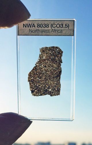 Meteorite Thin Section - Nwa 8038 - Co3.  5 - Carboneaceous Chondrite