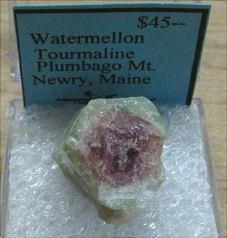 45ct Watermellon Tourmaline,  Newry,  Maine