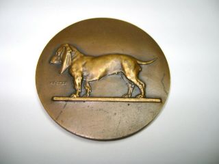 Vintage French Bronze Hound Dog Show Medal By H Dubois & Victor V Peter
