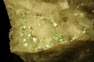 Torbernite Lustrous Uranium Crystals On Quartz Matrix Assunção Mine,  Portugal