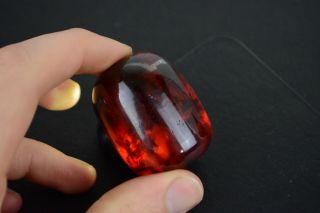 41.  9g Bakelite Cherry Amber Bead (Faturan,  Baltic Amber) Imitation Antique Vintage 2
