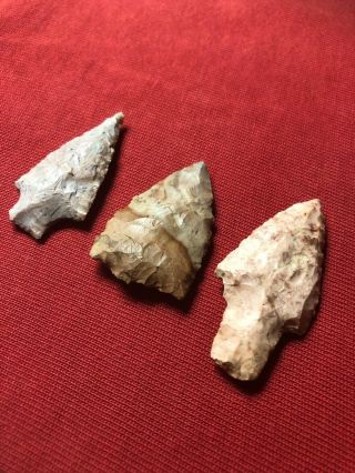 Authentic Group Of Arrowheads From Lawrence County,  Tn.  2” - 2 - 1/2” Long.