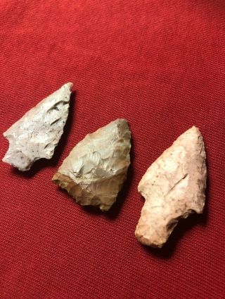 Authentic Group Of Arrowheads from Lawrence County,  TN.  2” - 2 - 1/2” Long. 2