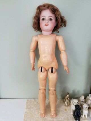 Antique 22 " German Bisque Simon Halbig 570 Doll,  Signed Heinrich Handwerck Body