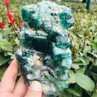 2.  1lb Discovery Of Natural Transparent Green Fluorite Dlb945