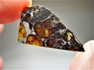 Museum Quality Crystals Brahin Pallasite Meteorite 3.  411 Gms