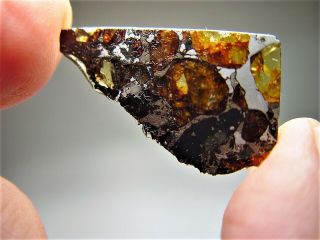 MUSEUM QUALITY CRYSTALS BRAHIN PALLASITE METEORITE 3.  411 GMS 2