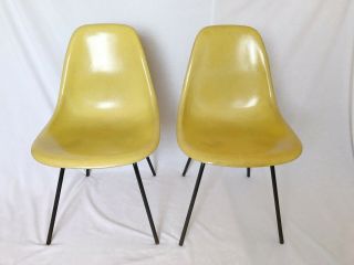 Eames For Herman Miller 1960s Fiberglass Shell Chair Set In Parchment