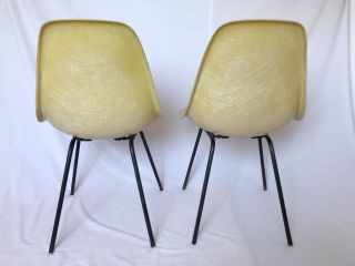 Eames For Herman Miller 1960s Fiberglass Shell Chair Set In Parchment 2