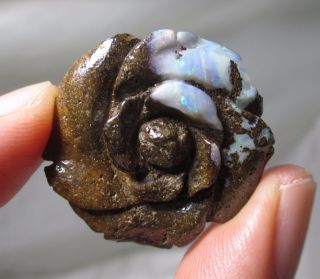 Fine Flower Rose Boulder Opal Carving - 42 Carats - Australia