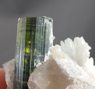 227 Carat Top Quality Well Terminated Tourmaline Crystal On Matrix@afg