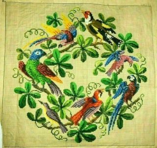 Antique Berlin Woolwork Hand - Painted Chart Pattern Early 19th Century