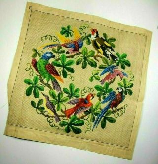 Antique Berlin Woolwork hand - painted chart pattern early 19th century 2