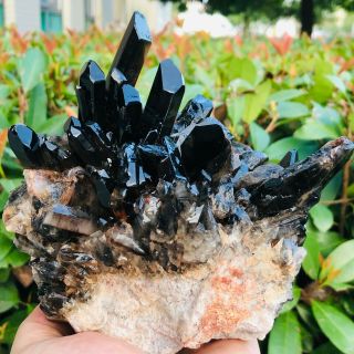 2.  9lb Natural Black Quartz Crystal Cluster Mineral Specimen Rare Fdl61