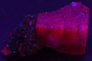 Very Large Rare Red Fluorescing Fluorite Crystal From Mapimi Mexico - Convoy
