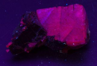 VERY LARGE RARE RED FLUORESCING FLUORITE CRYSTAL FROM MAPIMI MEXICO - CONVOY 3
