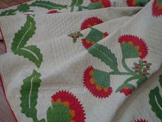 Christmas Coxcomb,  Berries Antique Red Cheddar Green Applique Quilt 94x92