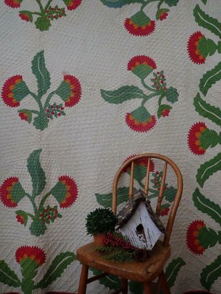 Christmas Coxcomb,  Berries Antique Red Cheddar Green Applique QUILT 94x92 2