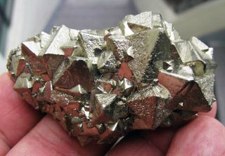 Pyrite Brilliant Octahedral Crystals On Matrix From Peru. .  Huanzala Mine