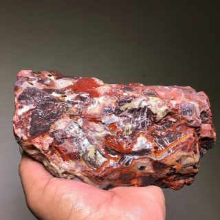 AAA TOP QUALITY CRAZY LACE AGATE 2.  5 LBS FROM BRAZIL 2