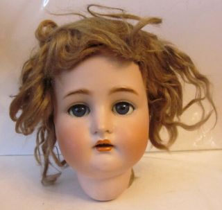 Antique Simon & Halbig K&r German Complete Bisque Head For 29 " Doll