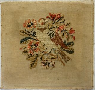 MID 19TH CENTURY FRENCH WOOL WORK OF A BIRD ON A BLOSSOM BRANCH - c.  1860 2