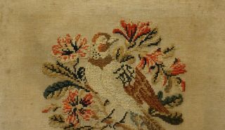 MID 19TH CENTURY FRENCH WOOL WORK OF A BIRD ON A BLOSSOM BRANCH - c.  1860 3