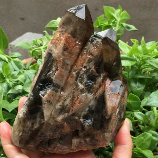 Natural Black/smoky Quartz Cluster Crystal Specimen Healing 2.  69lb