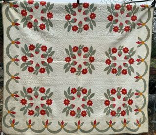 Antique Vintage 1860s Turkey Red Cheddar & Green Applique Trapunto Quilt