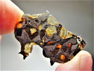 Museum Quality Crystals Brahin Pallasite Meteorite 2.  091 Gms