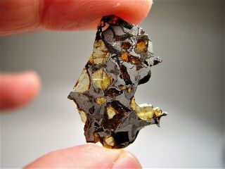 MUSEUM QUALITY CRYSTALS BRAHIN PALLASITE METEORITE 2.  091 GMS 3
