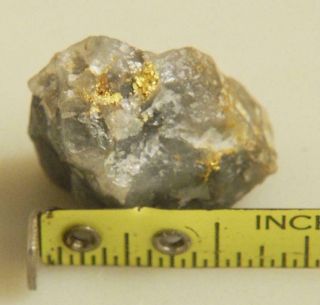 Native Gold In Quartz Mineral Specimen
