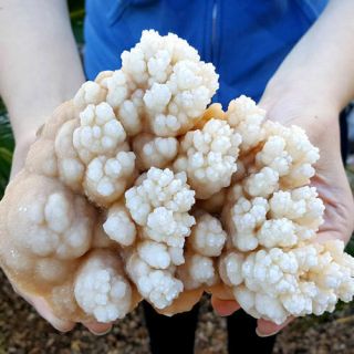 Very Fine Large 6 1/2 Inch Aragonite Cave Formation