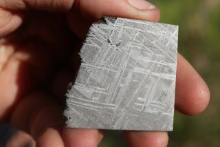 Muonionalusta Meteorite Etched Part Slice 22.  2 Grams