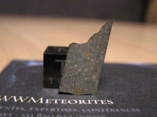 Meteorite Nwa 12472 - Unequilibrated Rumurutie Chondrite - R3 (with R5 Clasts)