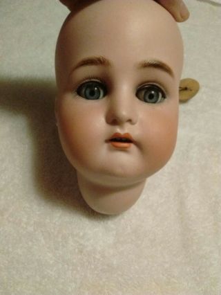 Antique German Simon Halbig K & R 73 Bisque Doll Head Only/ Large 13 1/2 " Cir