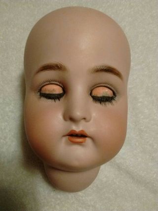 Antique German Simon Halbig K & R 73 Bisque Doll Head Only/ Large 13 1/2 